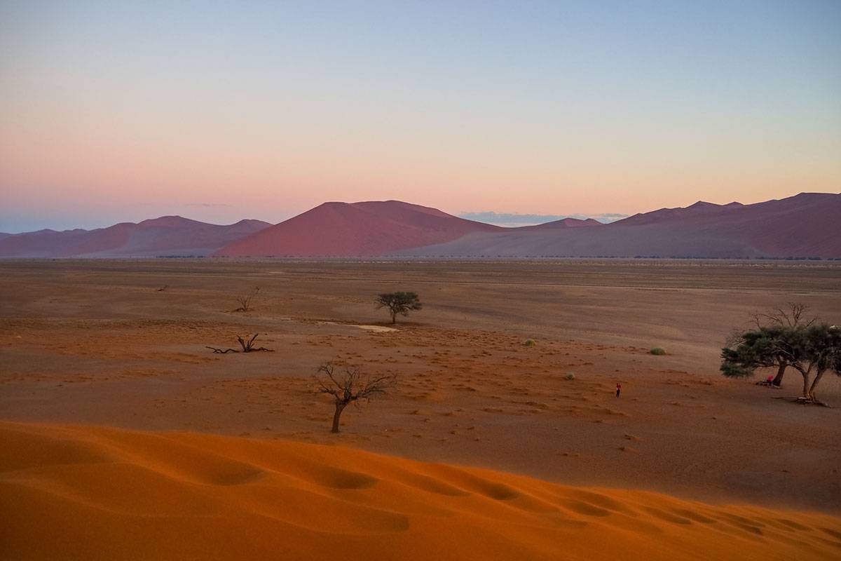 The pink hues of dawn over the dunes of Namibia