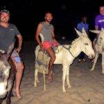 Brad, Haytham and Les on the donkeys.