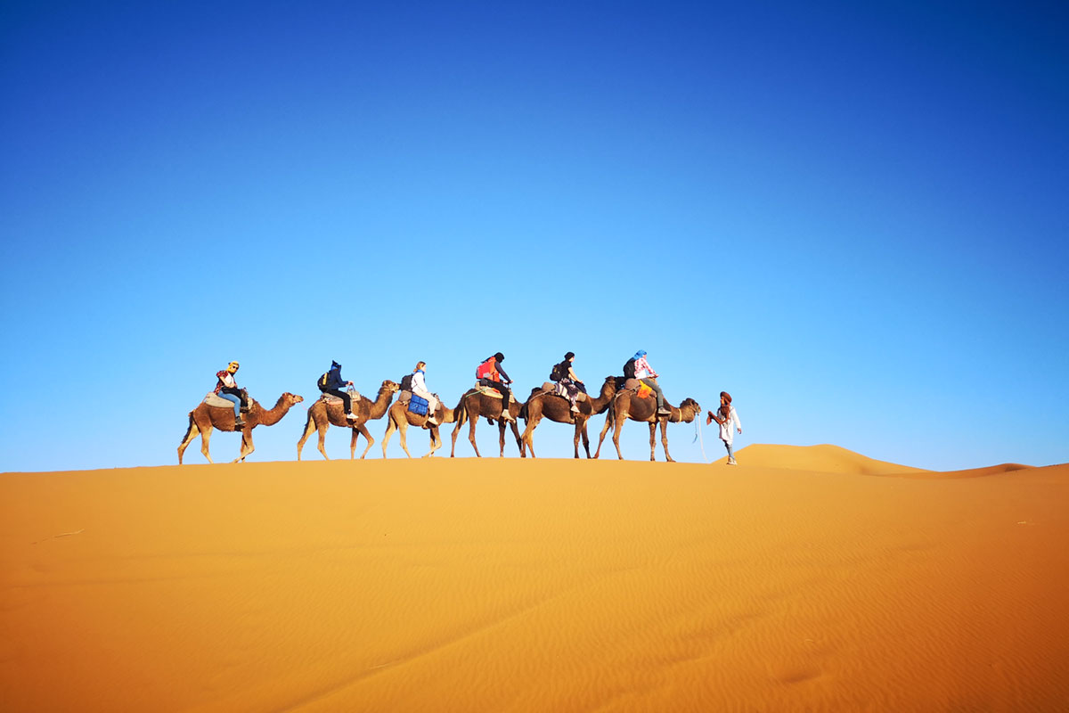 Camel trekking in the desert