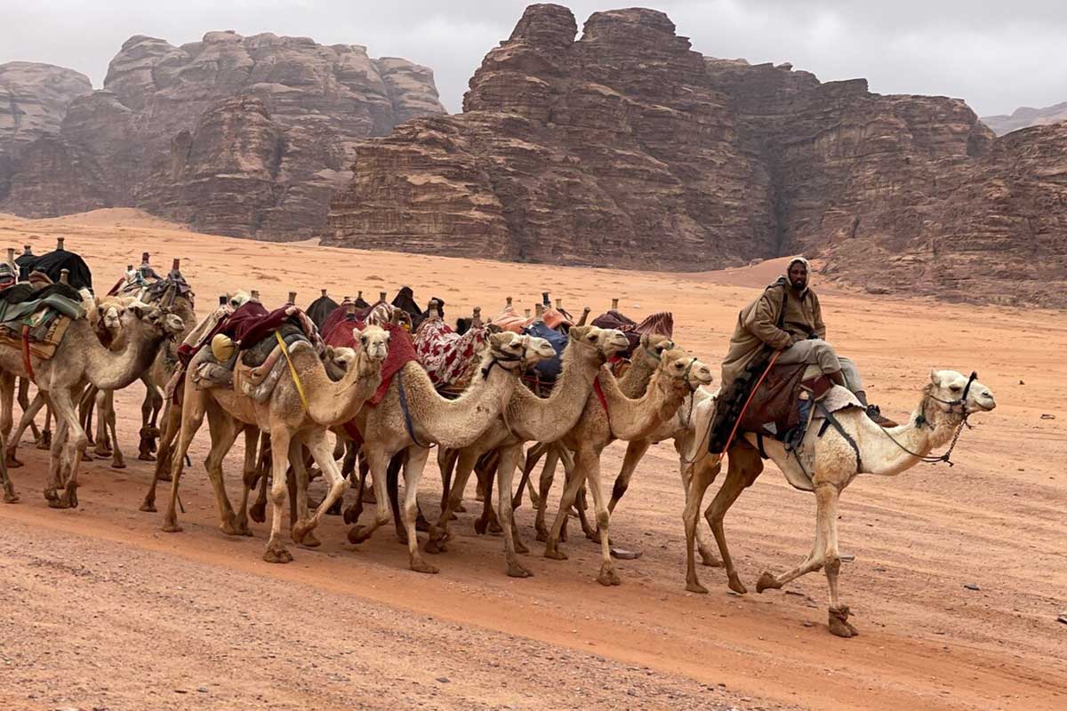 Camel Trekking in Wadi Rum