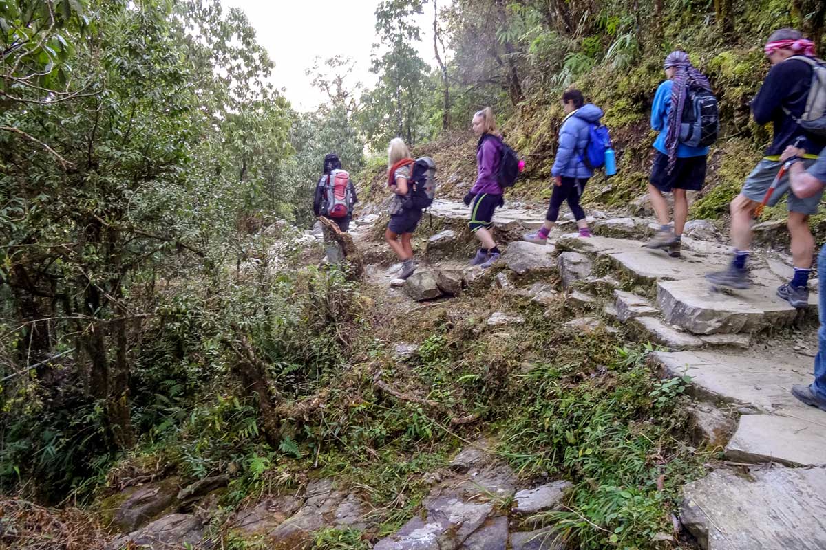 The group hiking Annapurna