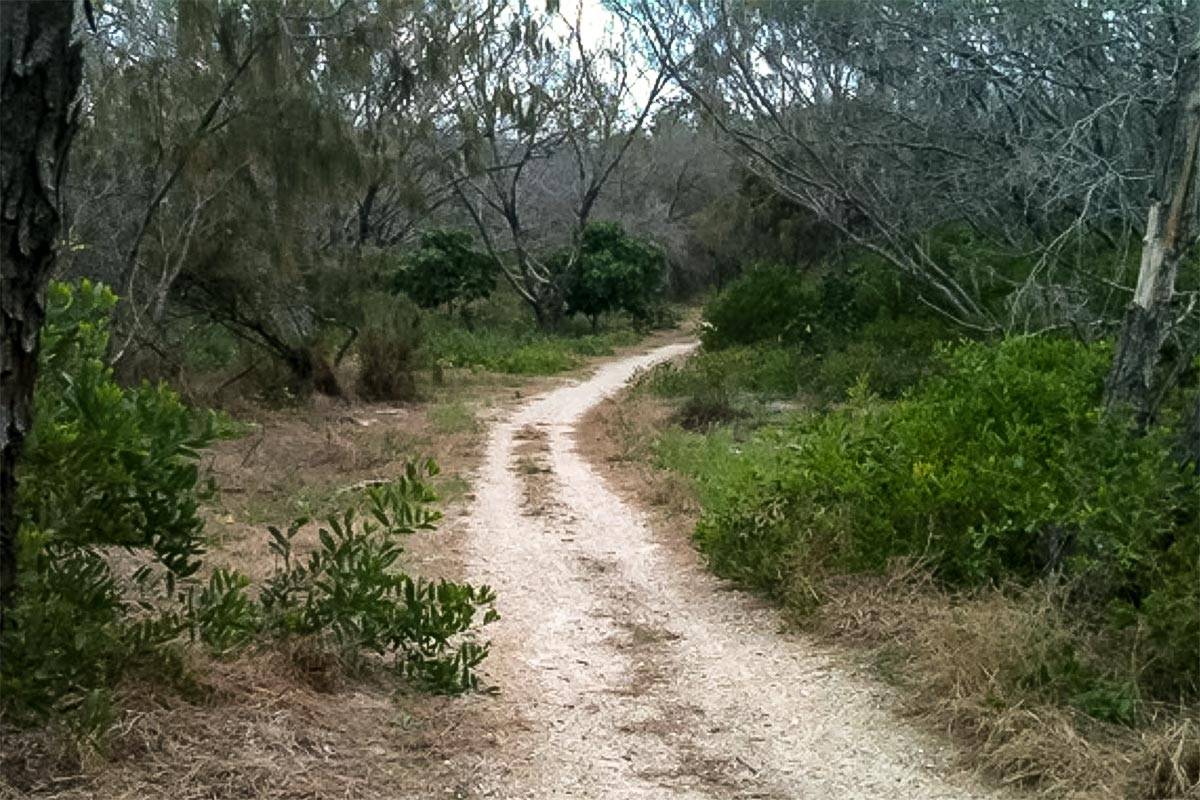 Federation trail hiking path Gold Coast