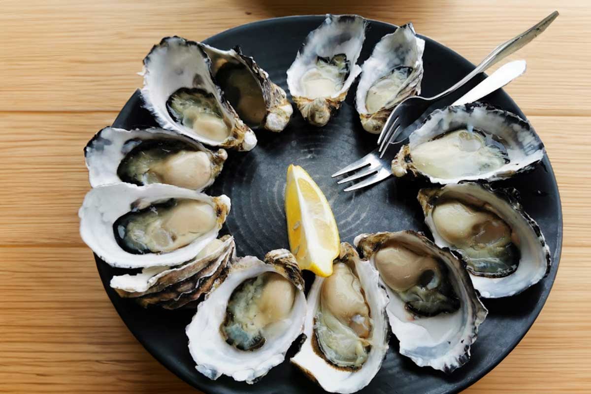 GetShuckedOystersBrunyIsland Get Shuked Oysters Bruny Island