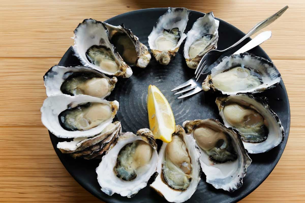 Get Shuked Oysters Bruny Island