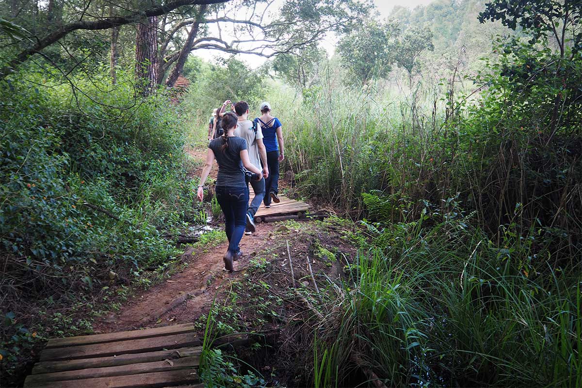 Hiking_Ezulwini Hiking the very easy Hippo trail in Mlilwane Game Sanctuary