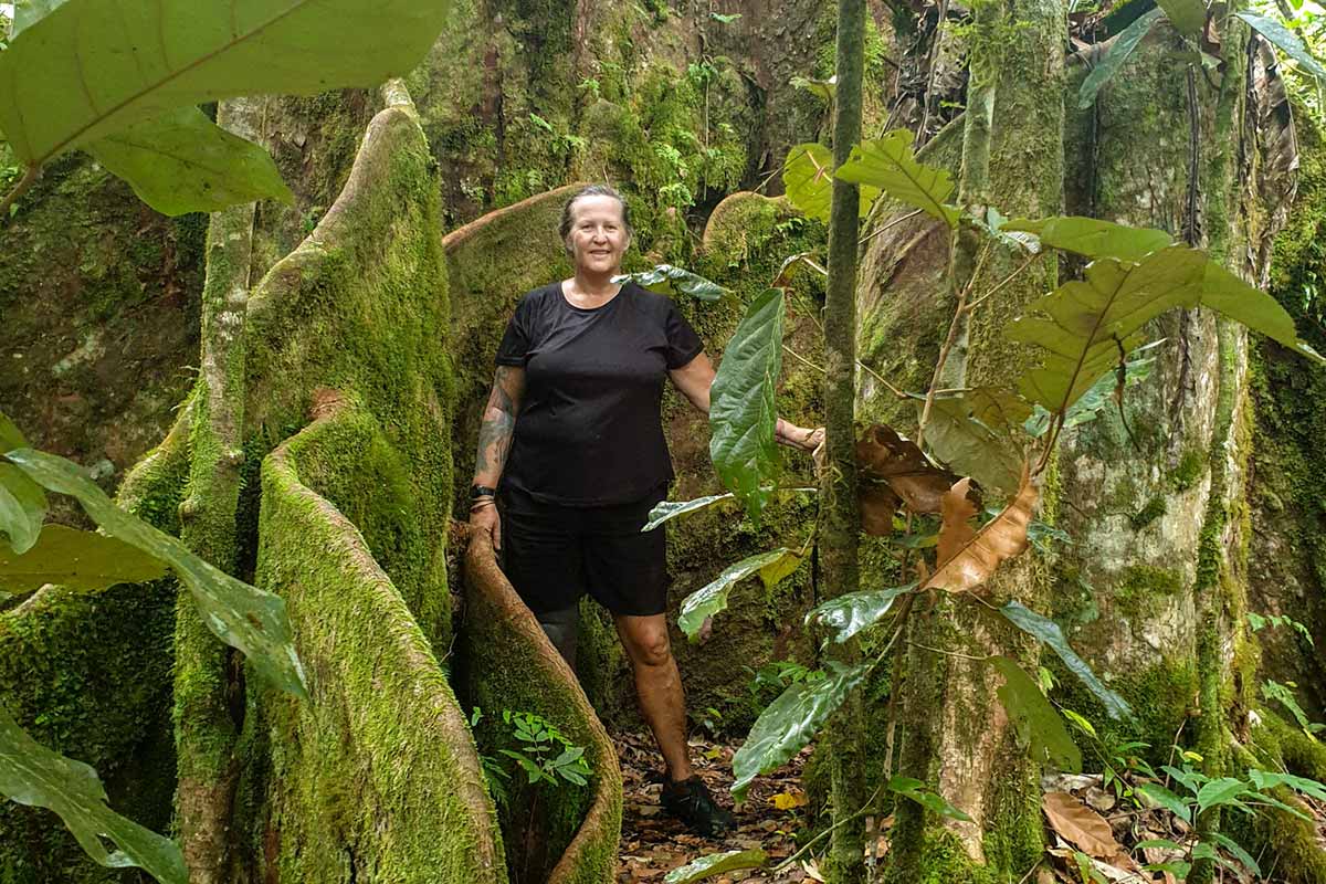 The impressive roots of the Ma Tree Samoa