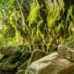 The Moss Gardens, Carnarvon Gorge