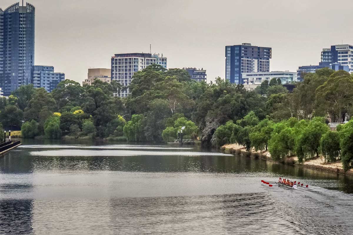 Rowers on the Yarra River Melbourne