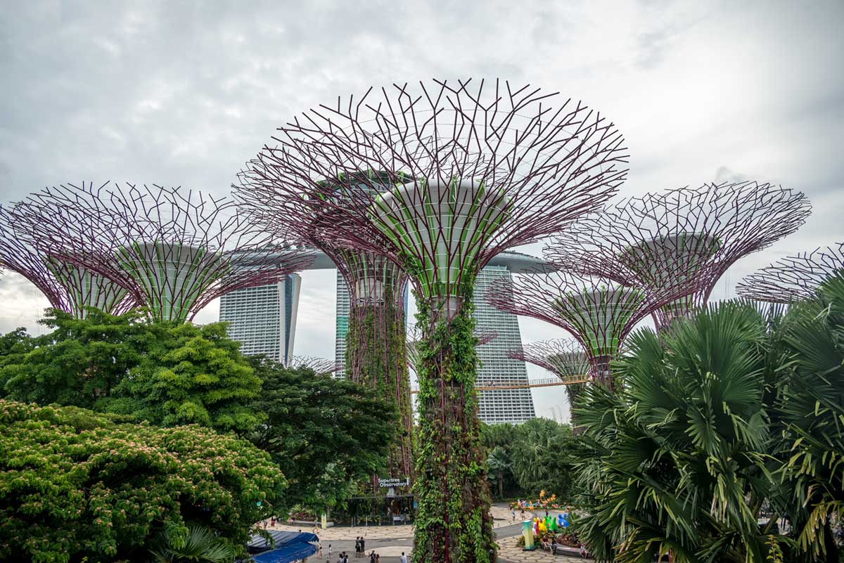 Singapore Gardens By The Bay