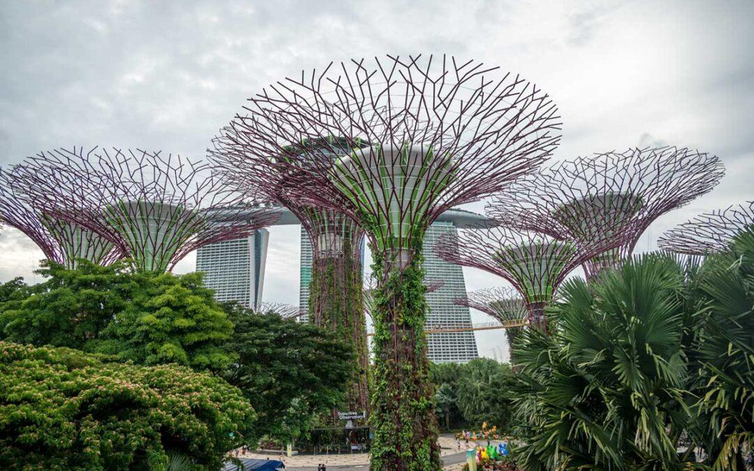 Singapore Gardens by The Bay