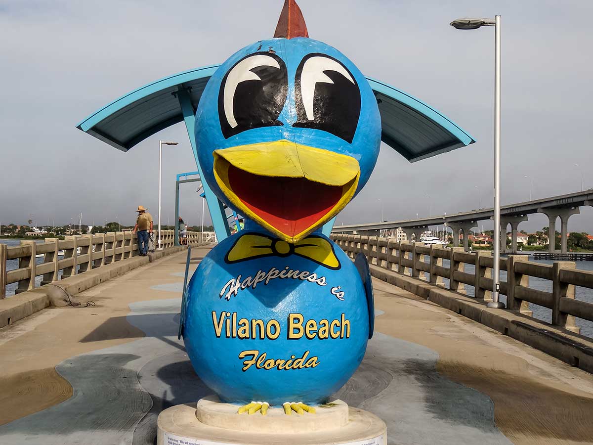 Vilano Beach Bird