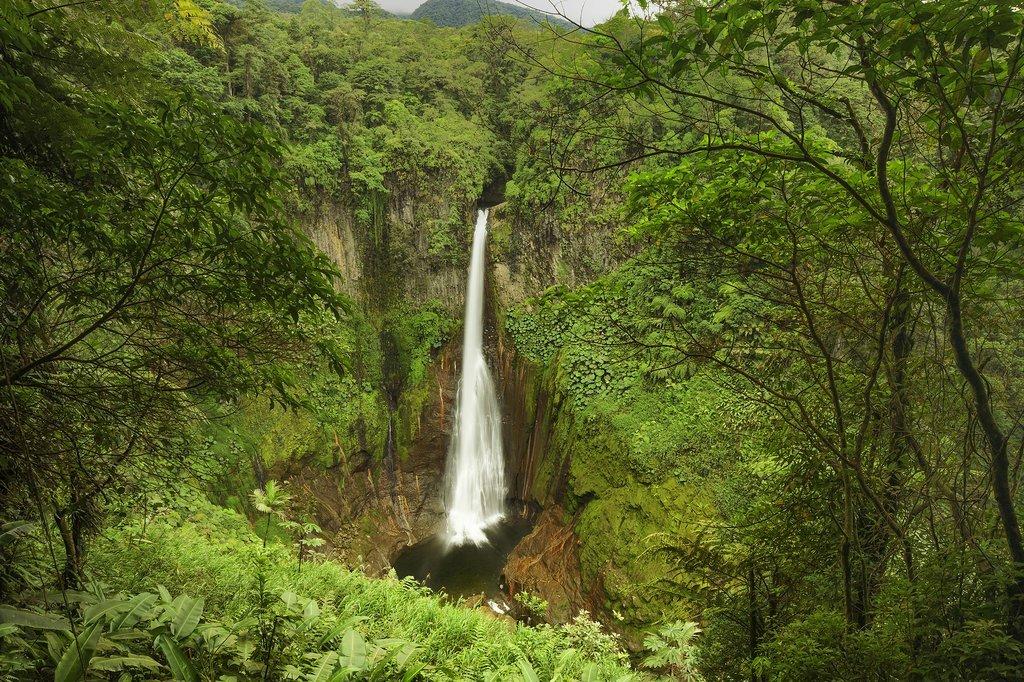 Catarata Del Toro Waterfall, Costa RIca