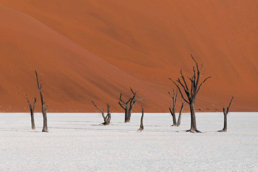 Deadvlei - A frozen forest in the heart of the Namibian desert