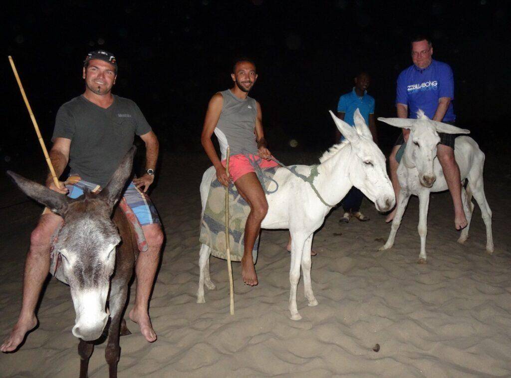 Brad, Haytham and Les on the donkeys.