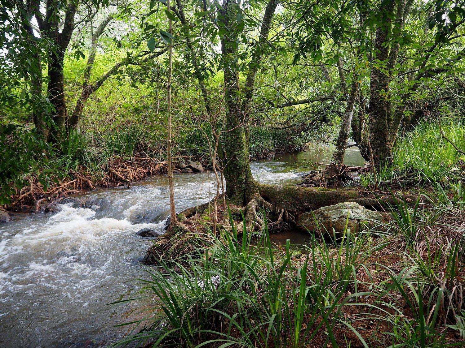 Mlilwani Creek