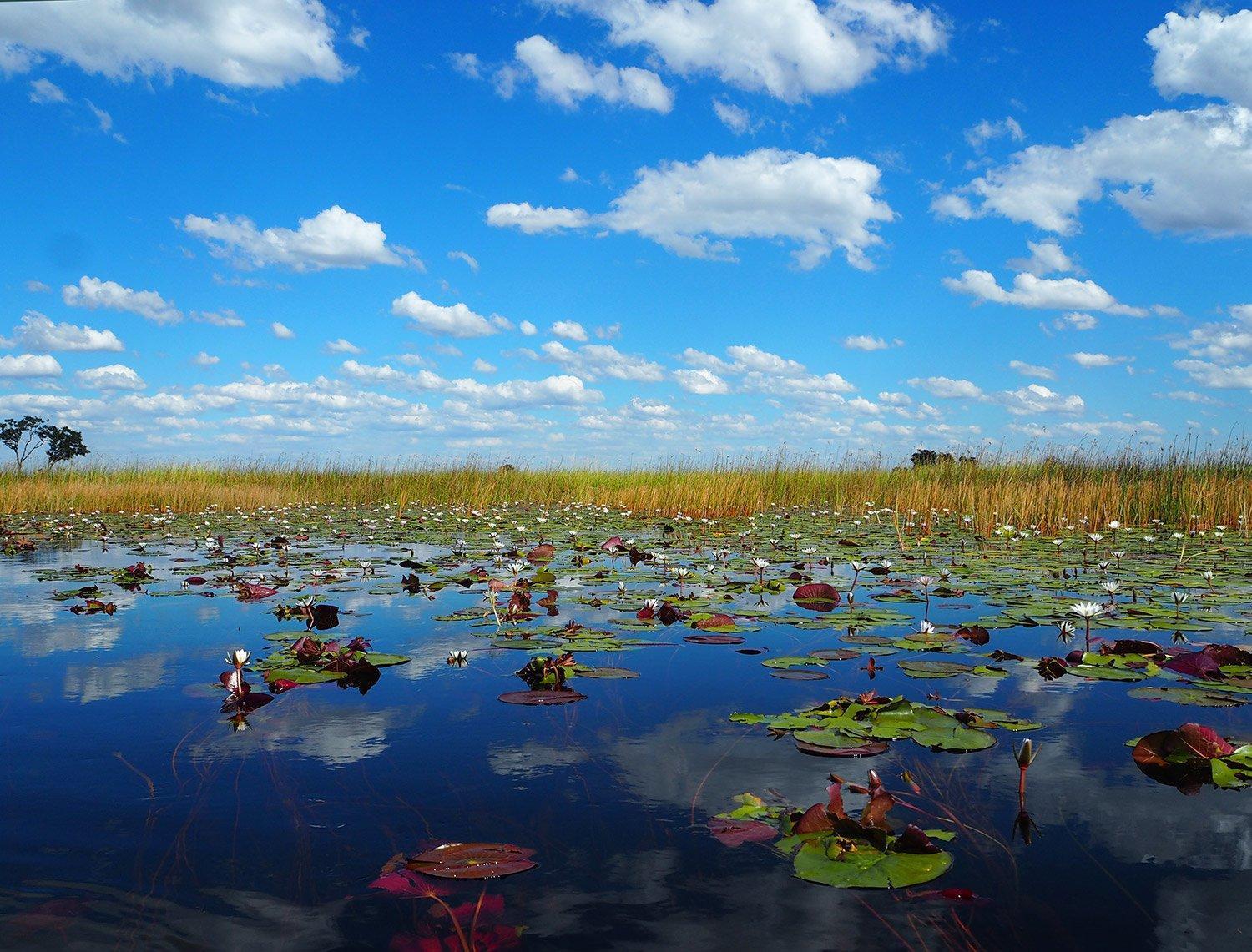 Sky reflected in the water, Okavango Delta