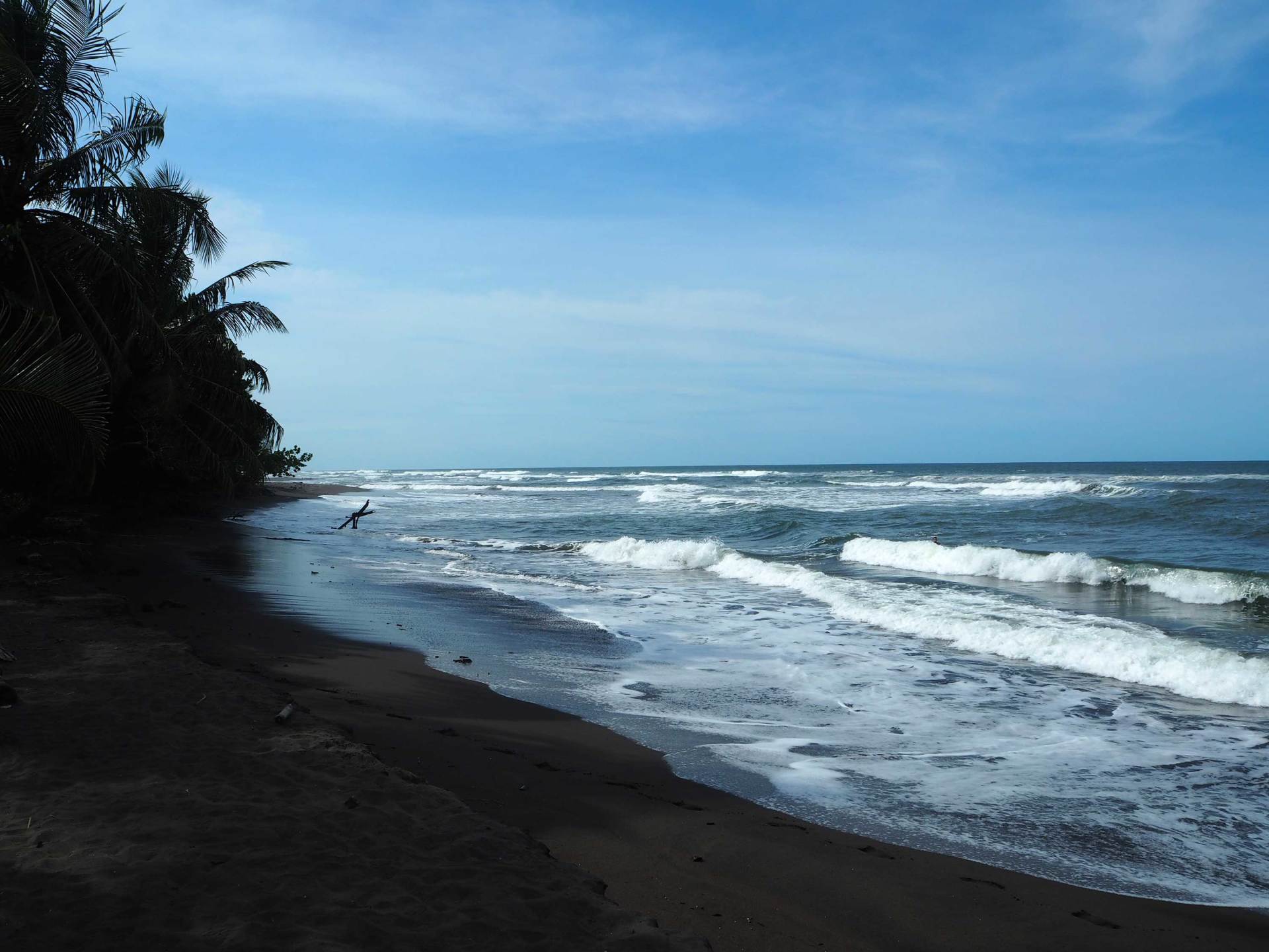 The main beach at Tortuguero National Park, Costa Rica