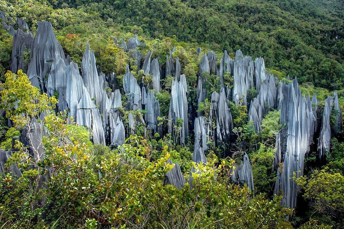 The Pinnacles Mulu National Park