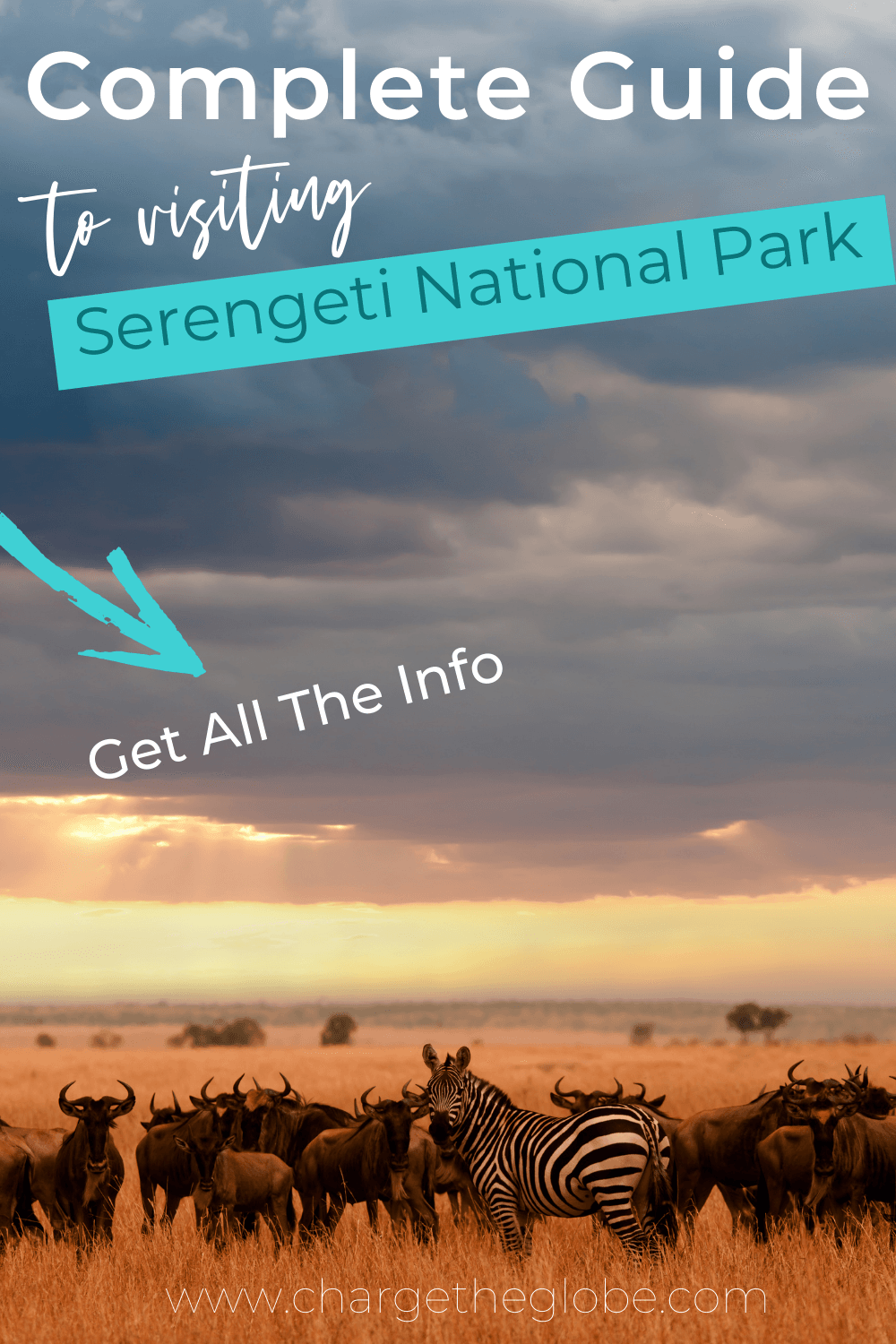 PIN ME! The complete guide to visiting Serengeti National Park