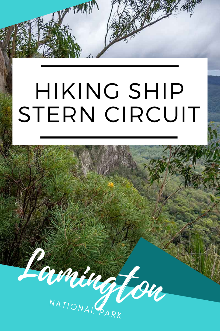 Hike Ship Stern Circuit Lamington National Park