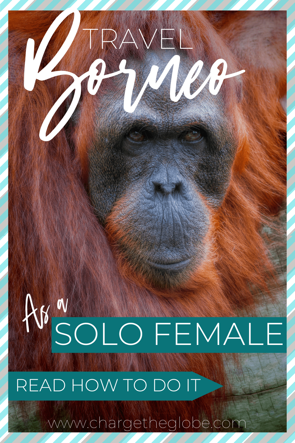 Borneo is a great place to travel solo as a woman on the road Borneo is a great place to travel solo as a woman on the road