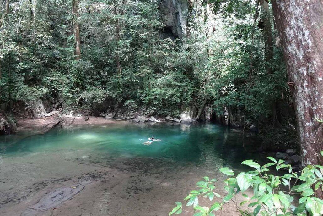 Swimming in the crystal clear waters in Mulu National Park Swimming in the crystal clear waters in Mulu National Park