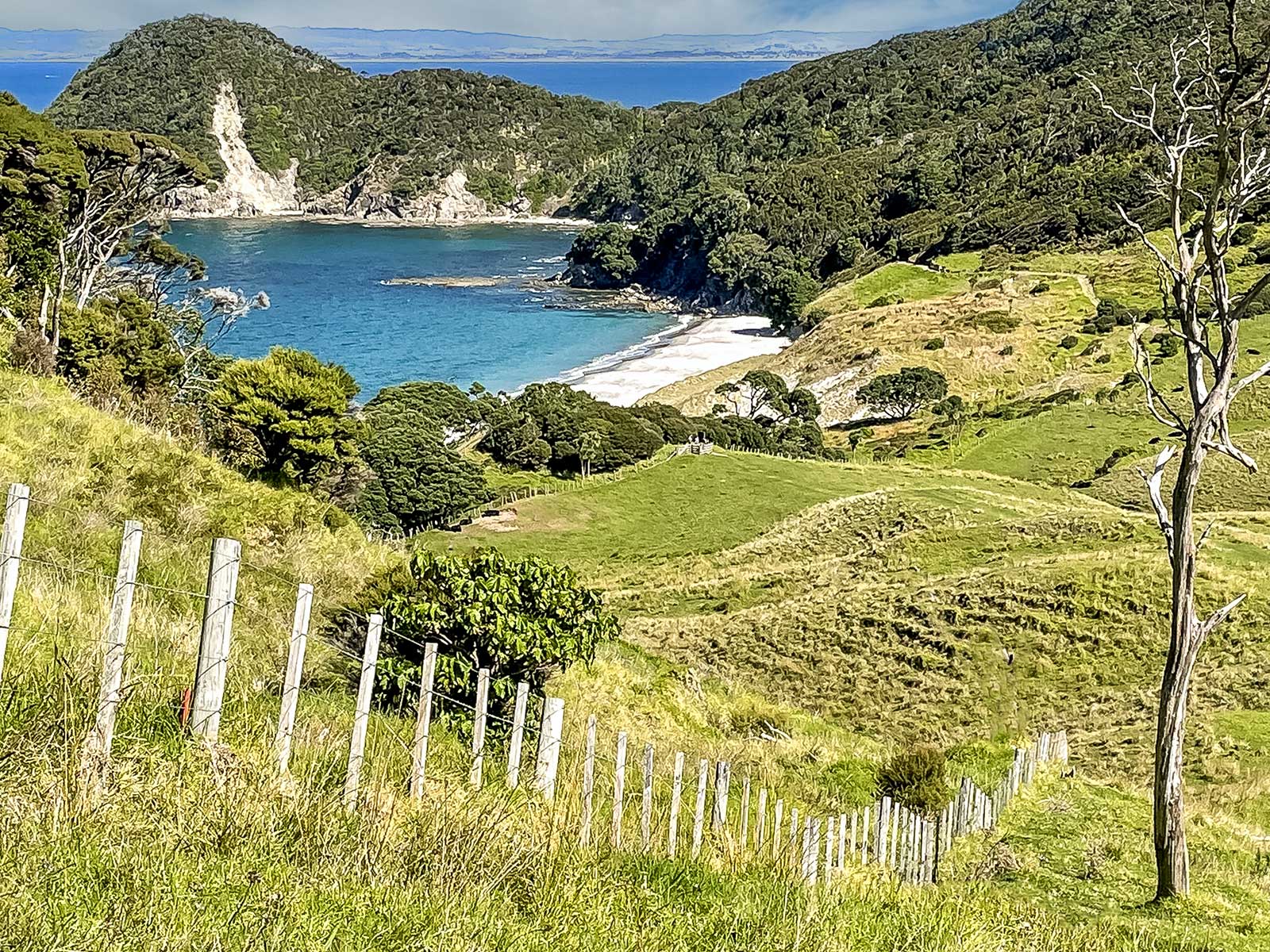 14 Best Day Hikes In NZ - Te Whara Track