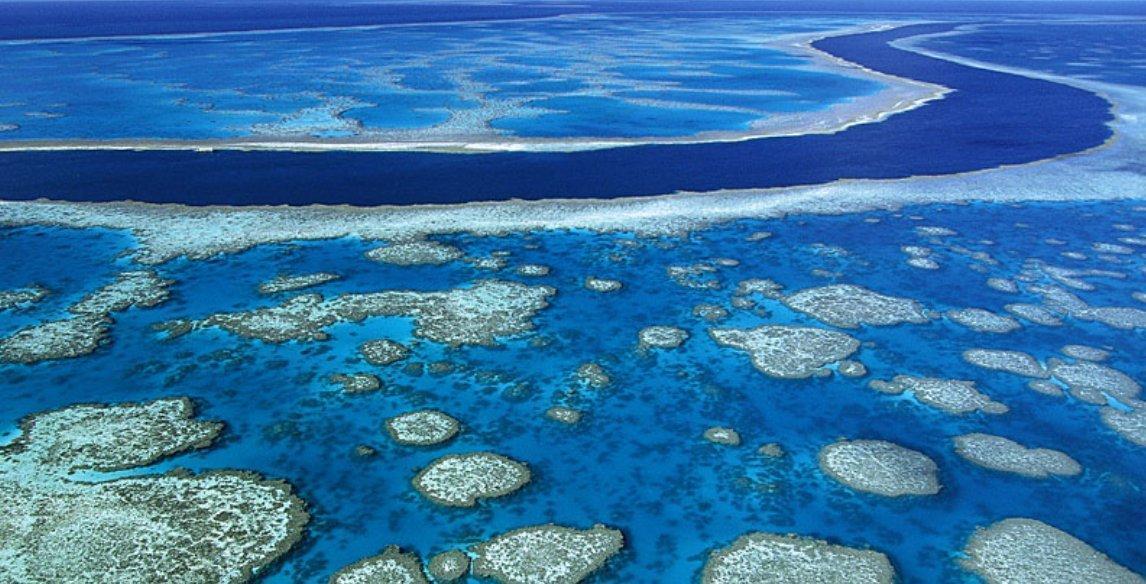 Upolo Reef, The Great Barrier Reef, Australia