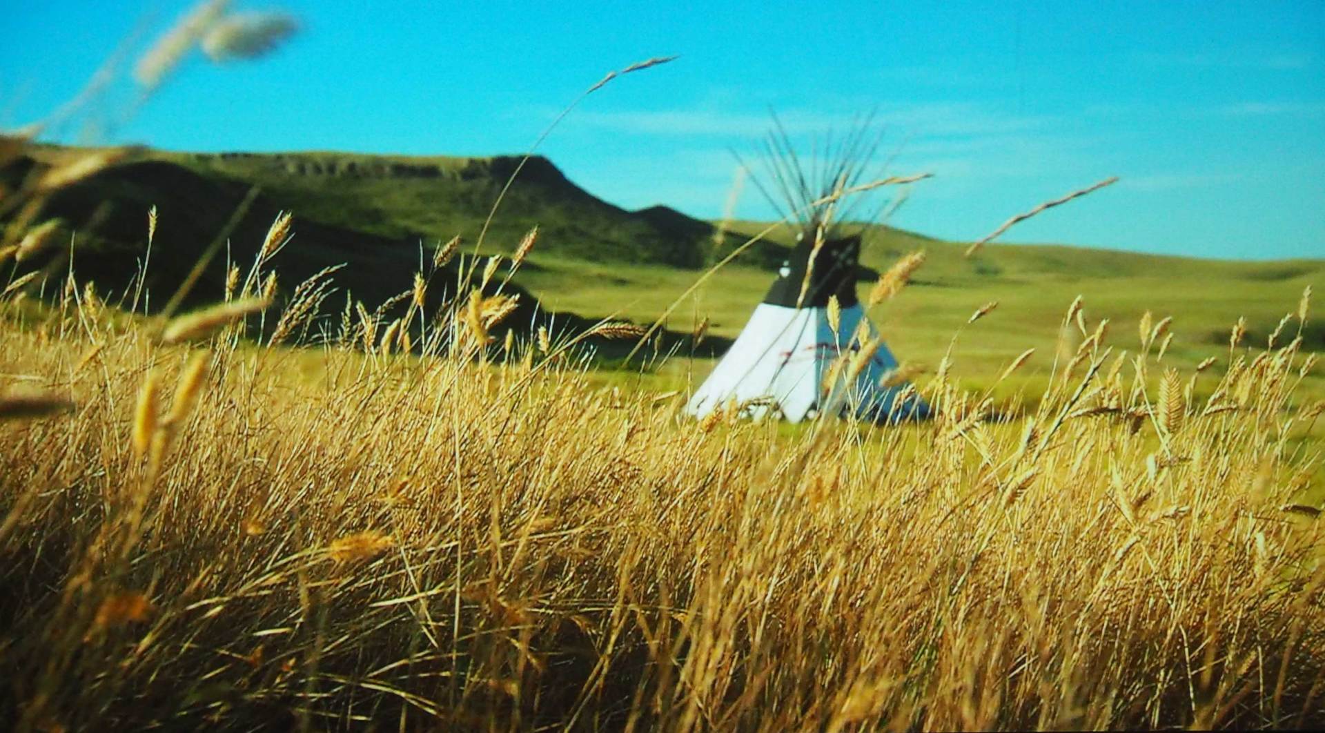 Teepee on the plains of Head Smashed In Buffalo Jump