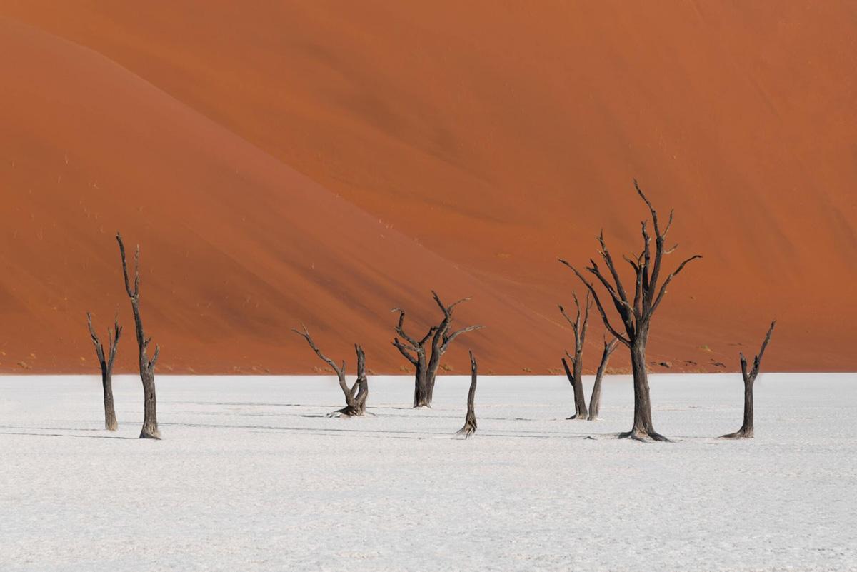 The white salt pans and red sands of Dead Vlei Namibia