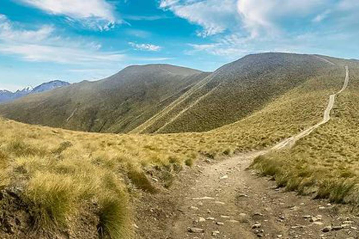 Isthmus Peak trail New Zealand