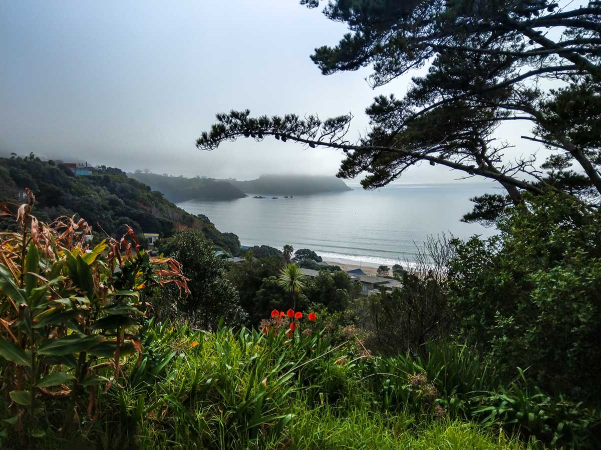 View out over Onetagi Beach Waiheke