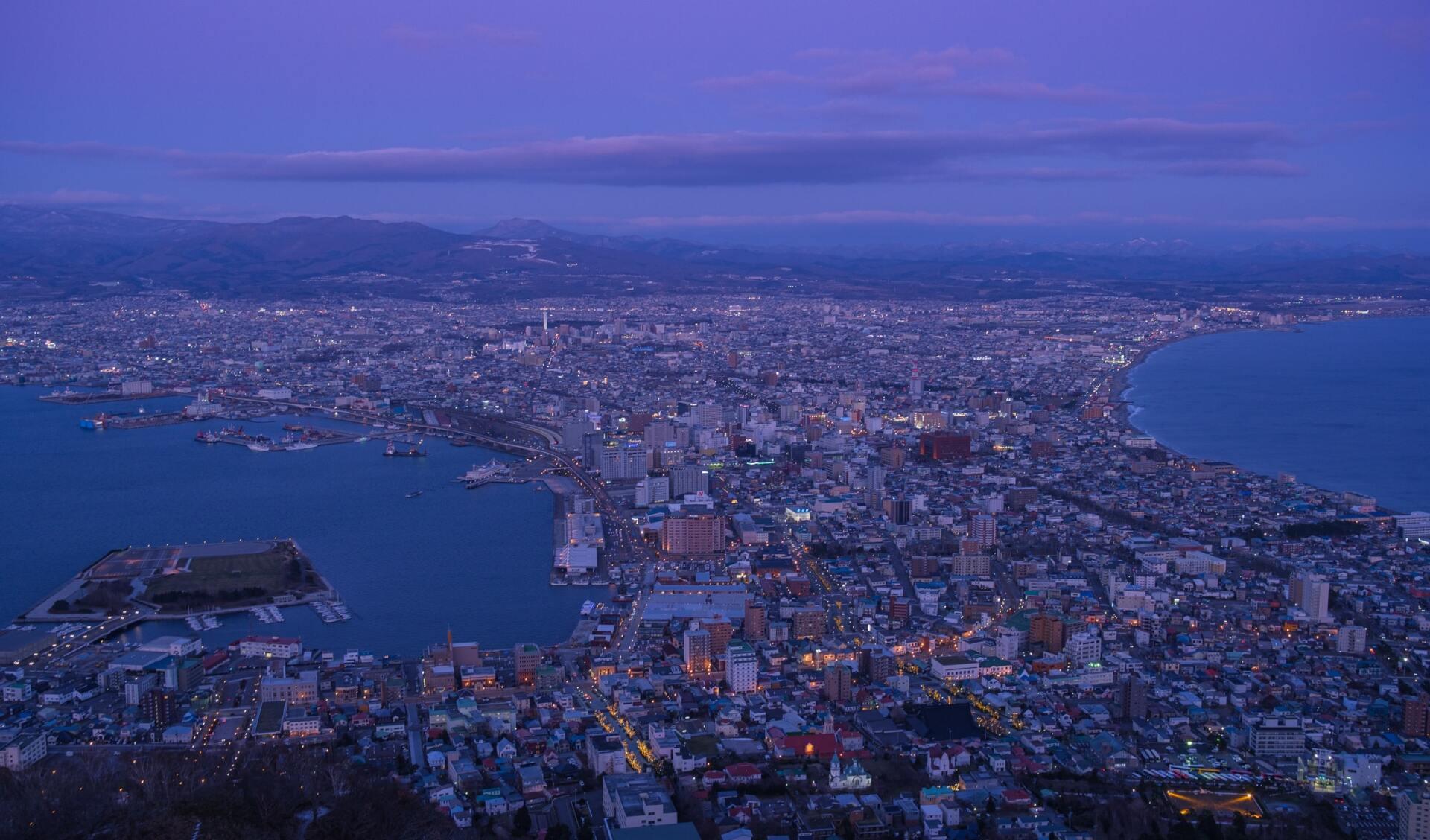 View of Hakodate city from the tower