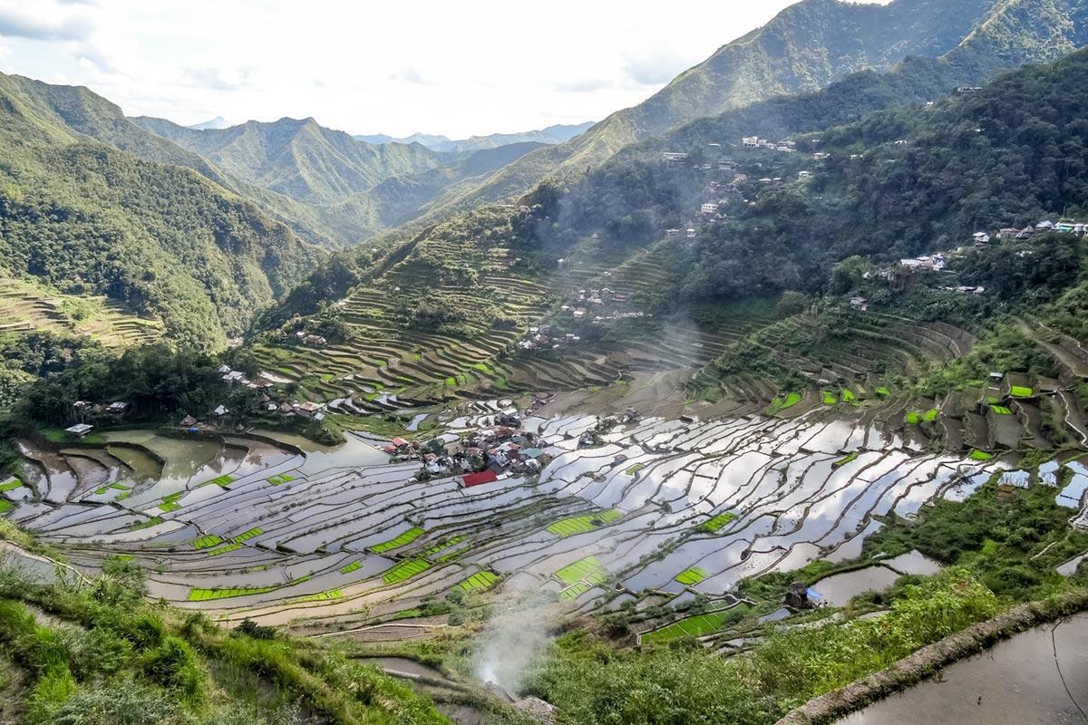 Batad Rice Terraces flooded for planting.