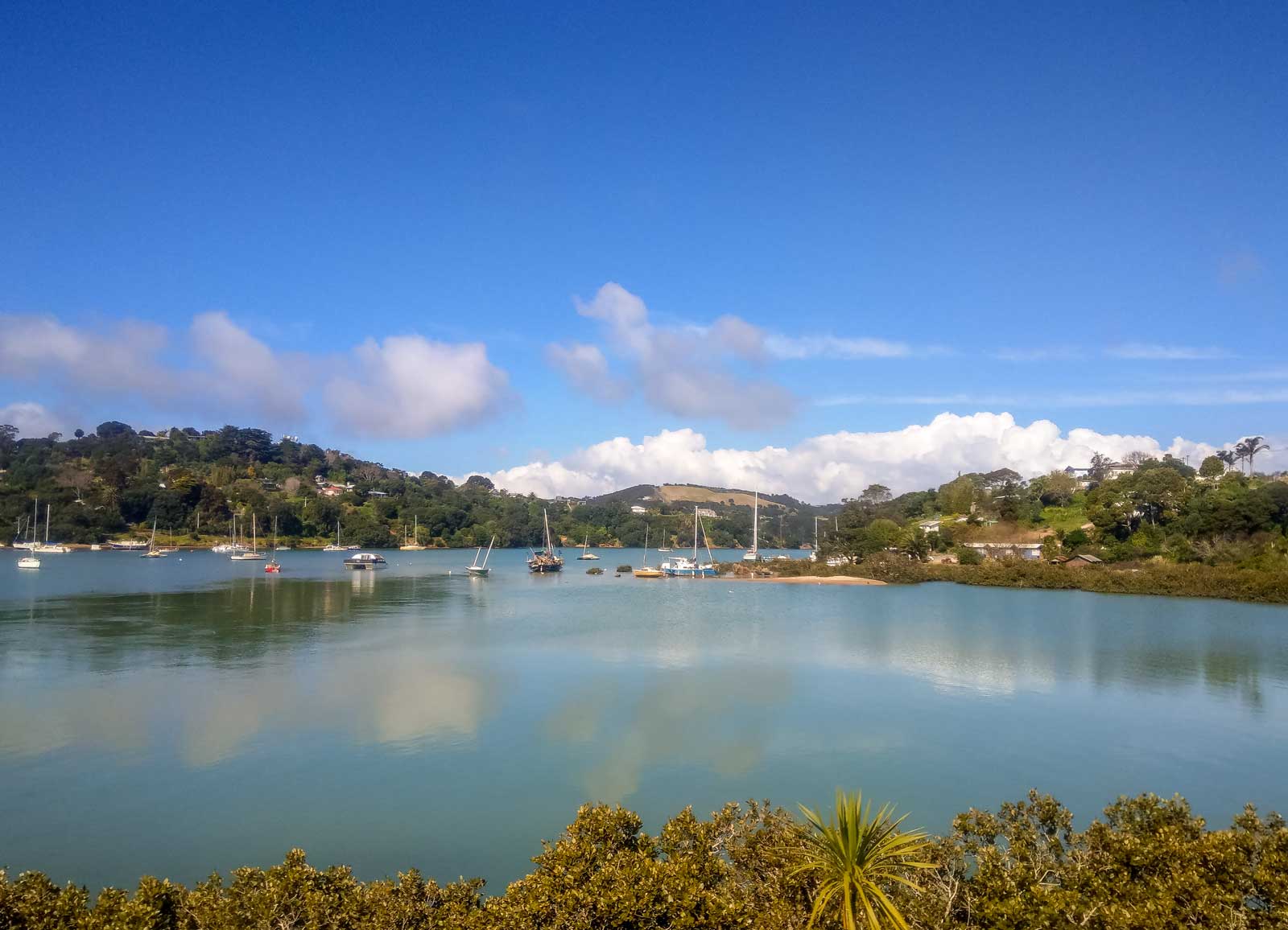 Waiheke Sail Boats