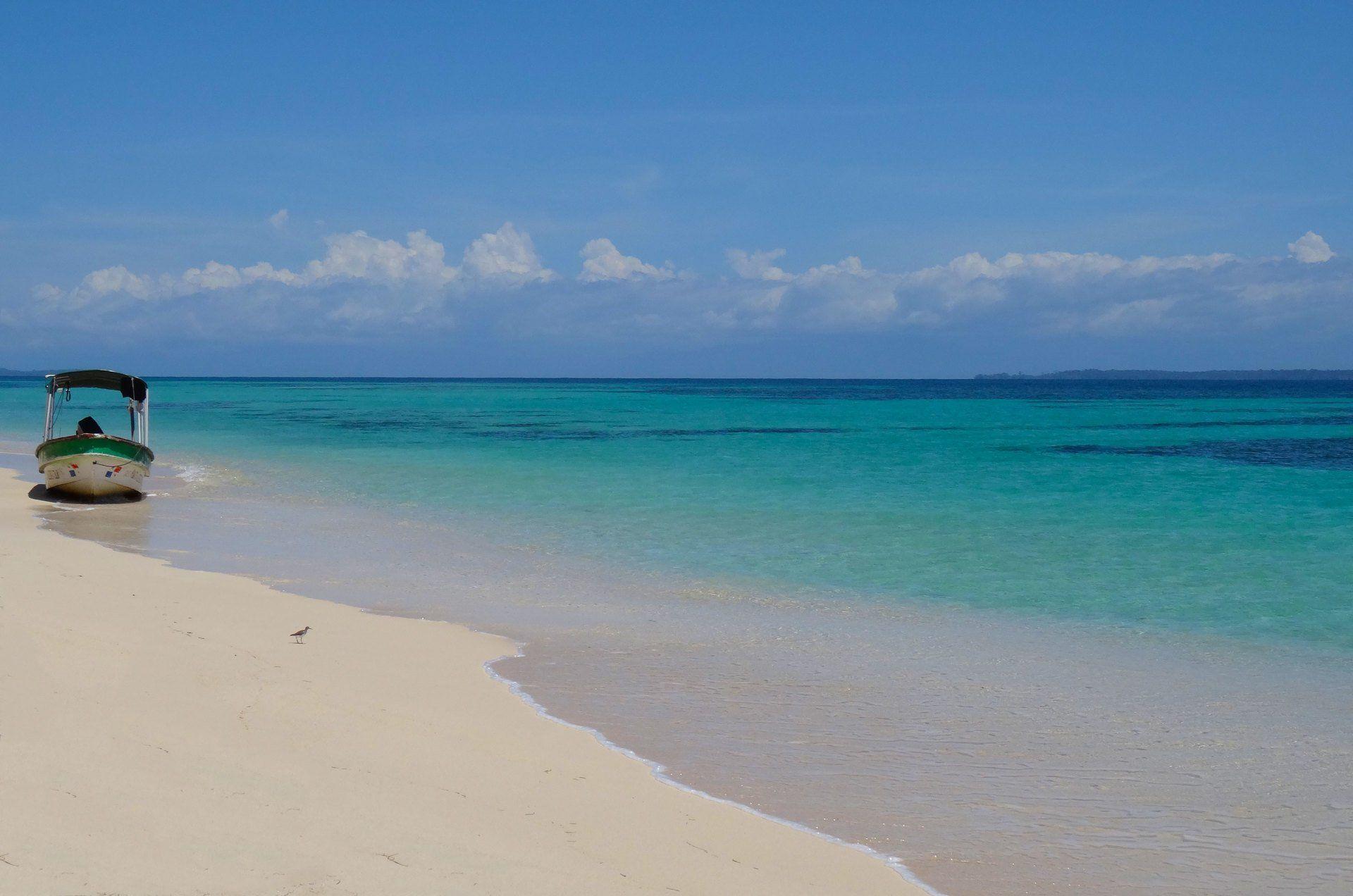 Zapatilla Beach in the Bocas Del Toro archipeligo is the reason you go to Bocas Del Toro